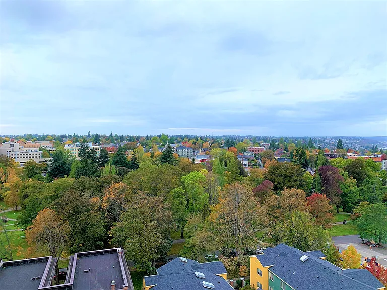 Wright Park