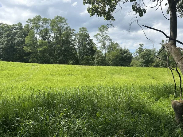 0 Annie Hollow Rd Lot 12, Westmoreland, TN 37186