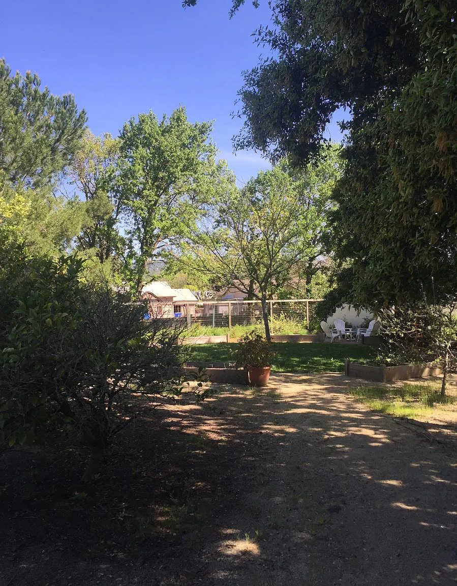2 bed, $2,900 — Photo 3