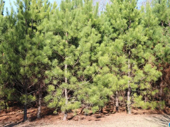 151 Grove Cir Lot 21, Bessemer, AL 35023