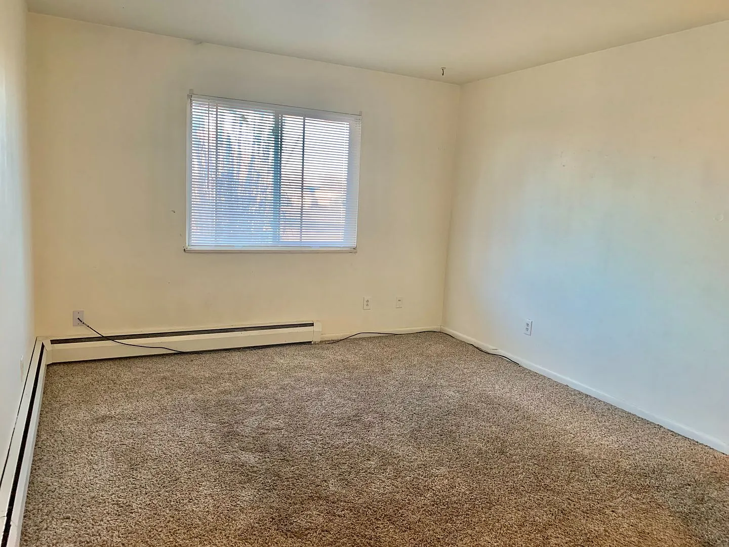 3605 Idaho St — Photo 4