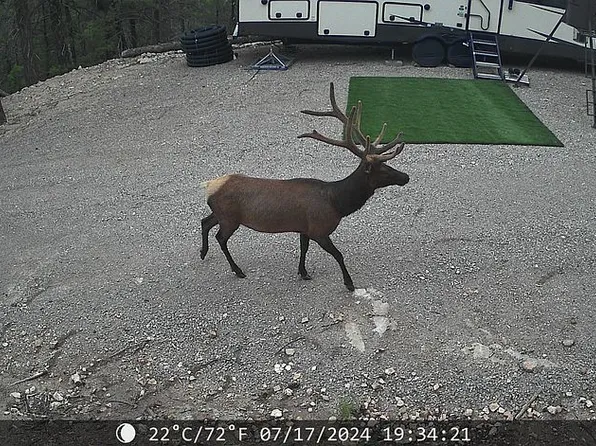 825 Cox Canyon Hwy, Cloudcroft, NM 88317