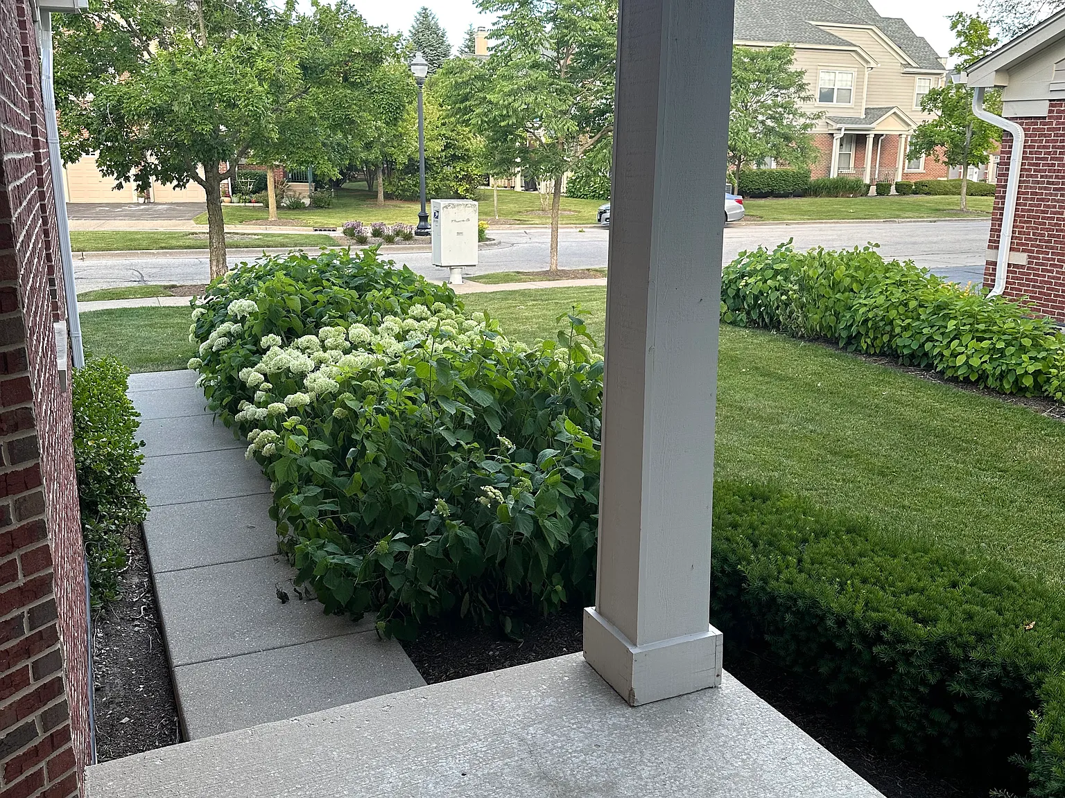3 bed, 2300 sqft, $3,395 — Photo 3
