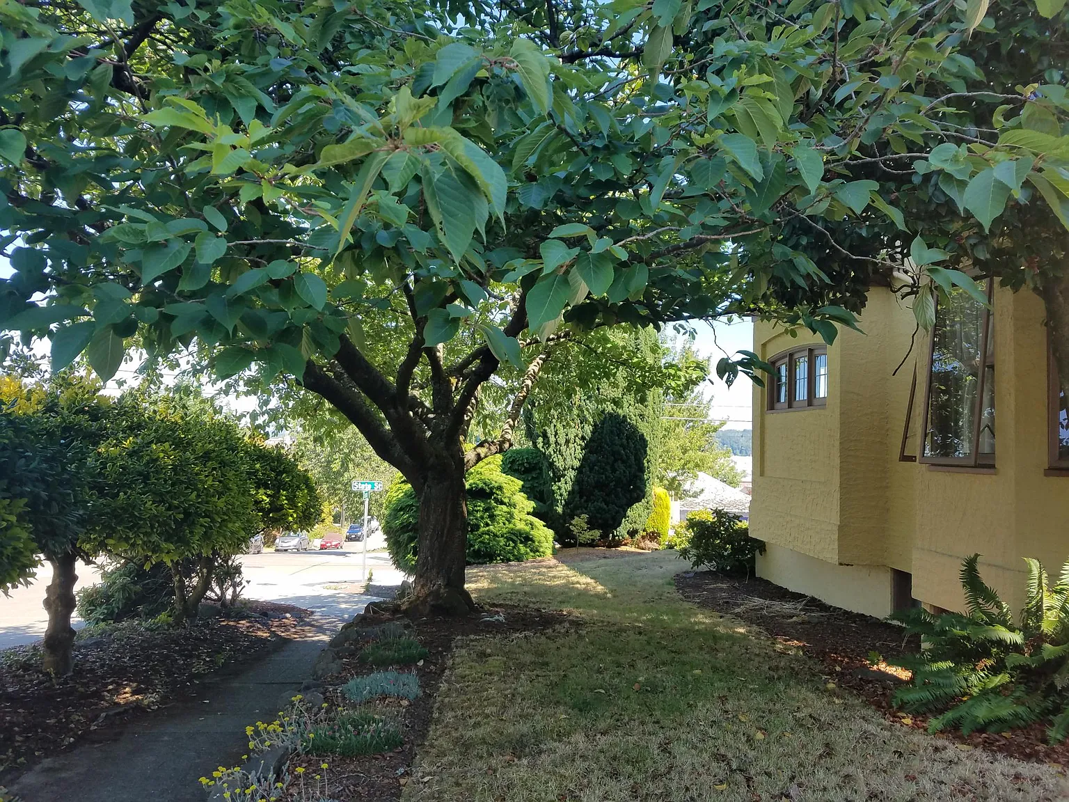5 bed, $3,000 — Photo 3