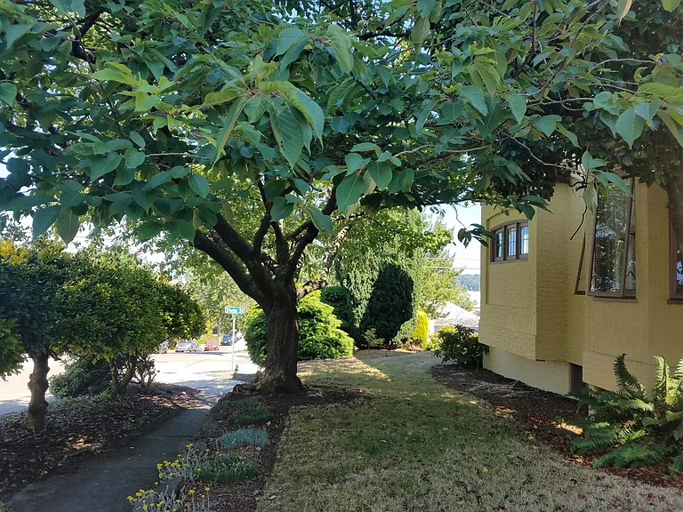 109 State Ave — Photo 3