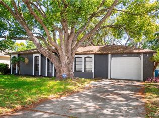 1346 Waterfall Dr, Spring Hill, FL 34608