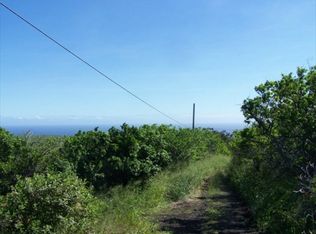 LOT 45, Naalehu, HI 96772