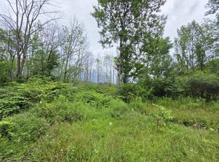 L2803 Halbert Hill Rd, Mount Upton, NY 13809