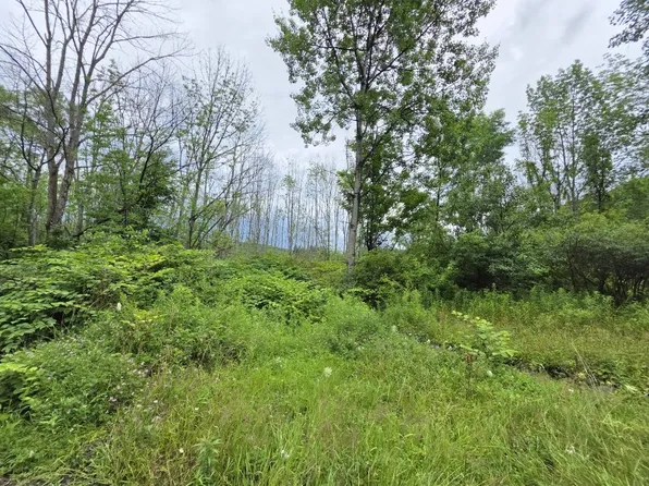 L2803 Halbert Hill Rd, Mount Upton, NY 13809