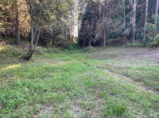 Schmidt Mill Rd, Weippe, ID 83553