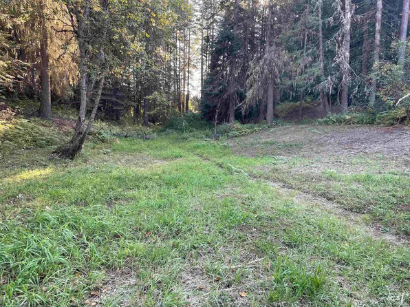 Schmidt Mill Rd, Weippe, ID 83553