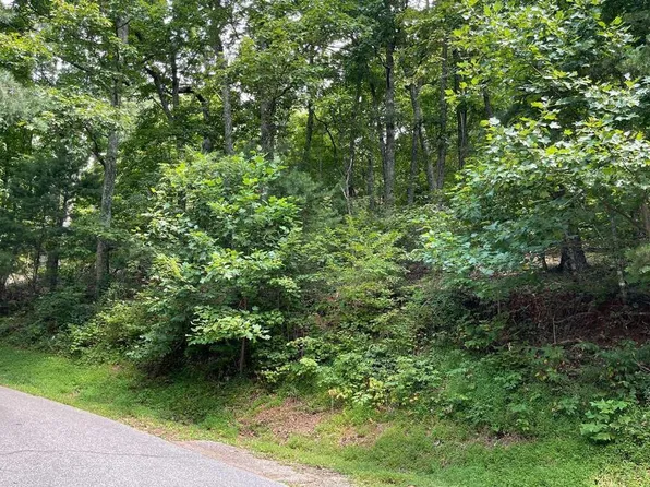 10 Mountain Dr N, Hiawassee, GA 30546