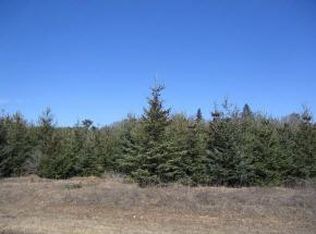 LOT 3 Wilderness Dr, Waupaca, WI 54981