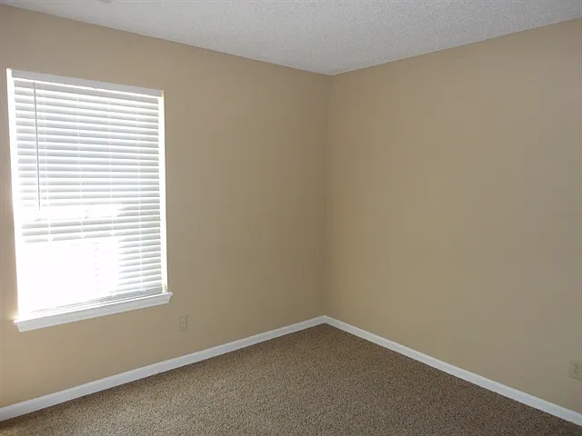 8018 Bitternut Dr — Photo 12