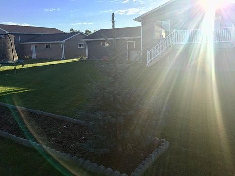 back of home
