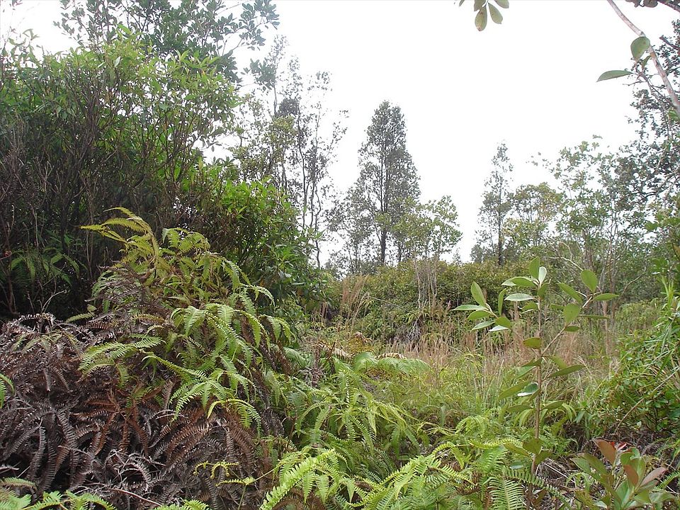 2nd image of Plumeria St Lot 6664