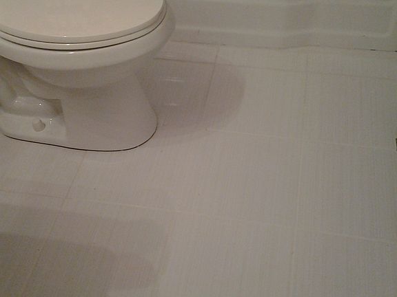 New Toilet / Refinished Tub