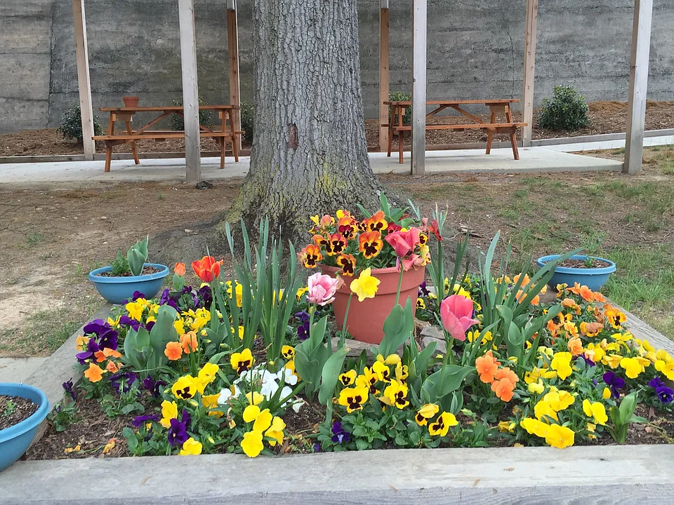 Community garden