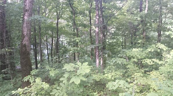 1st image of Hueston Wood Ln