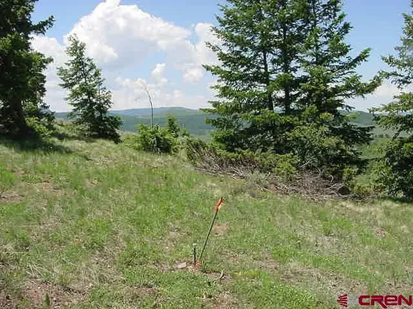 721 Crest Drive, Cimarron, CO 81220