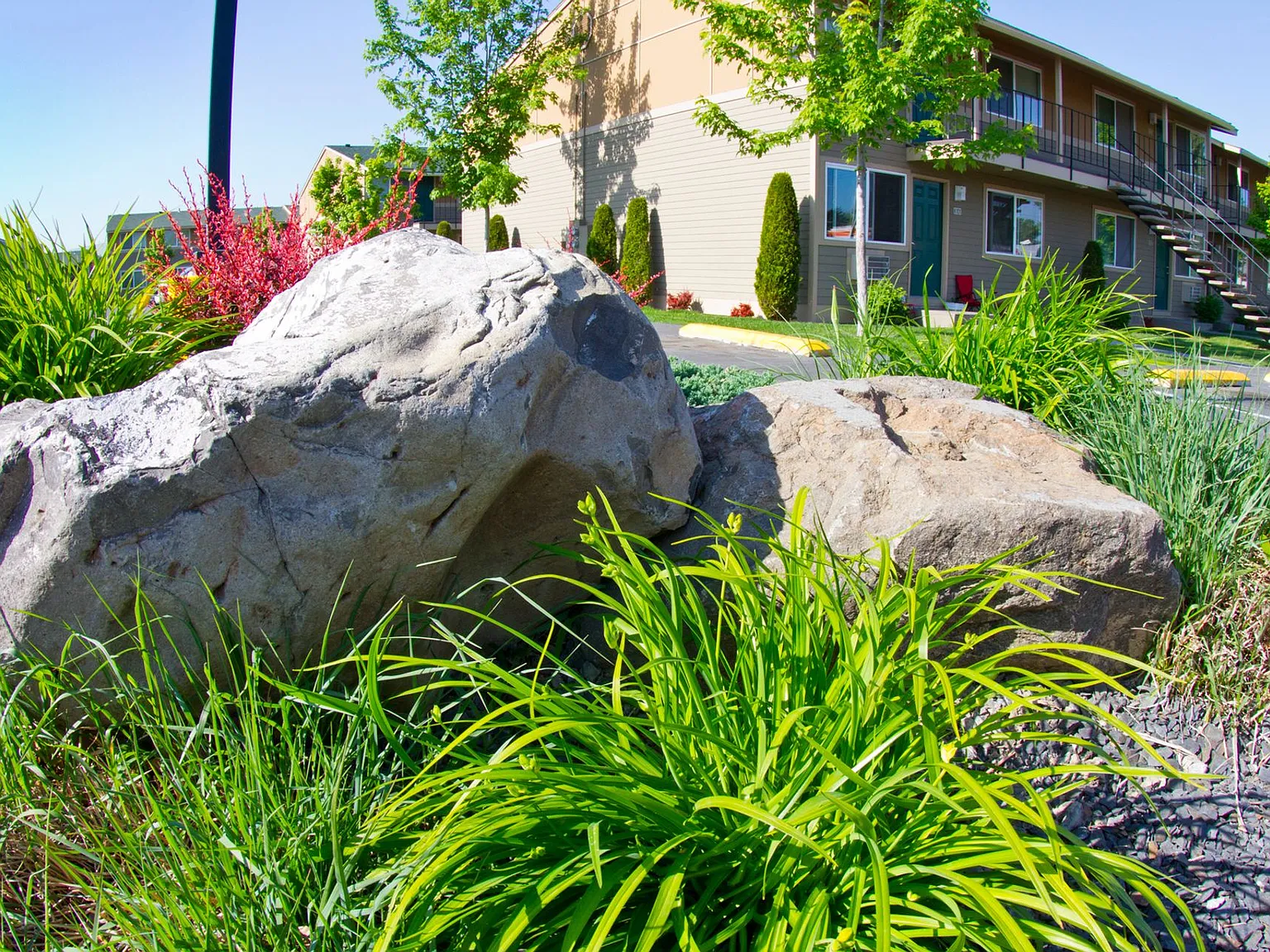 Meadow Park — Photo 3