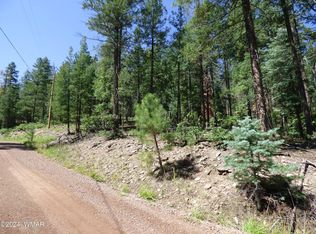 9 County Road 2073, Alpine, AZ 85920