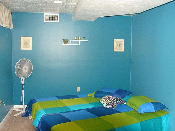 Finished Basement Suite