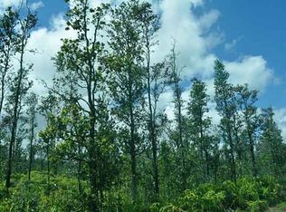 Road 6, Mountain View, HI 96771