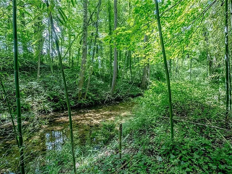3230 Kinnamon Rd — Photo 16