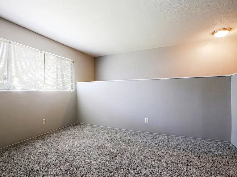 Carpeted Interiors