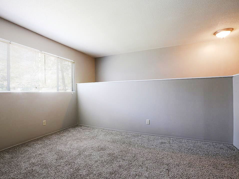 Carpeted Interiors