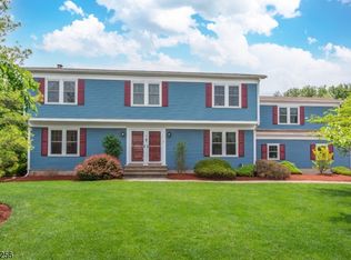 46 Beaver Dam Rd, Randolph, NJ 07869