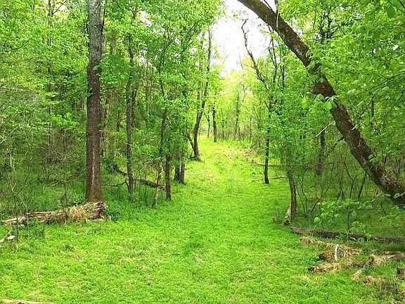 5th image of 0 Hazel River Rd