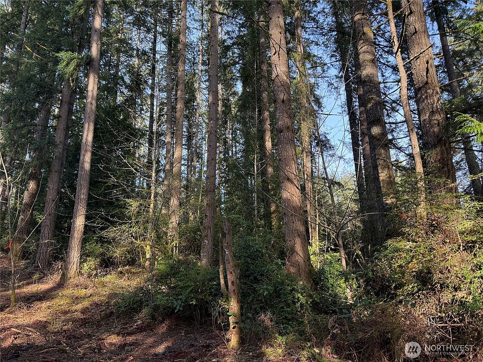2nd image of 0 SW Pine Road