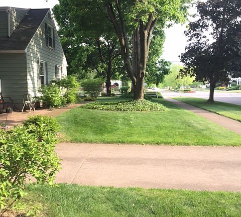 Side yard