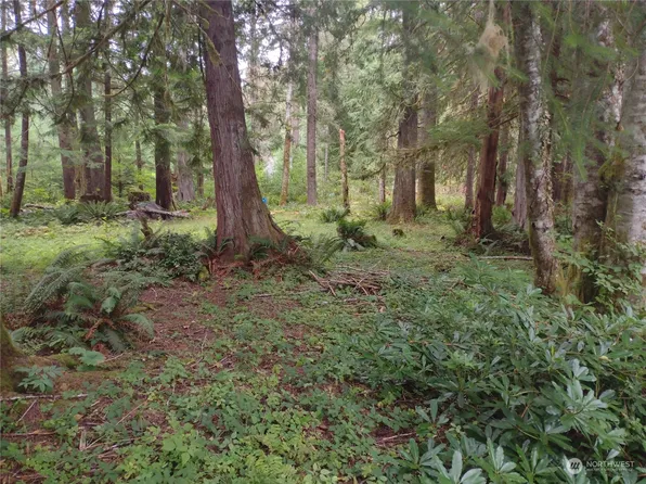 38305 568th Court E, Ashford, WA 98034
