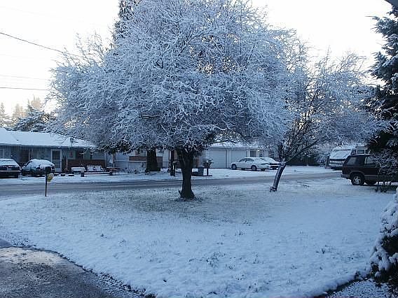 Front yard view