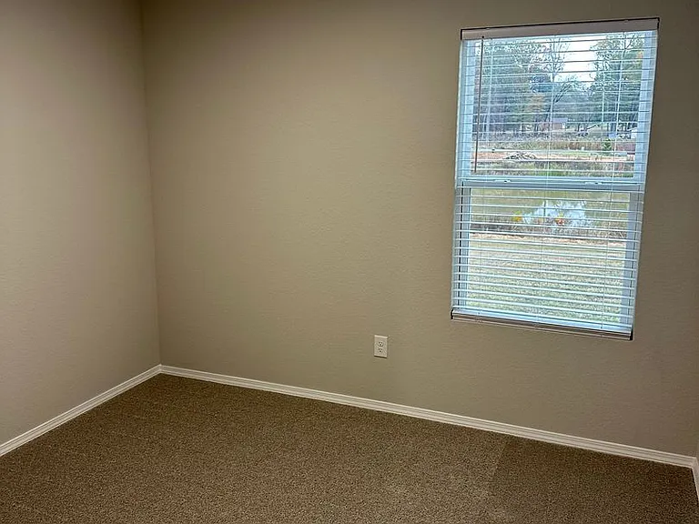 70 Swayze Rhys Ln — Photo 10