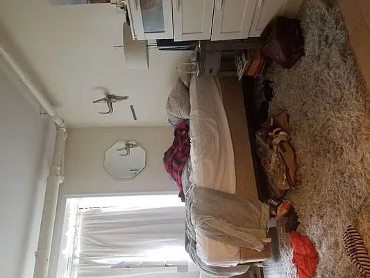 Rented by Simply Brooklyn Realty Inc | media 6