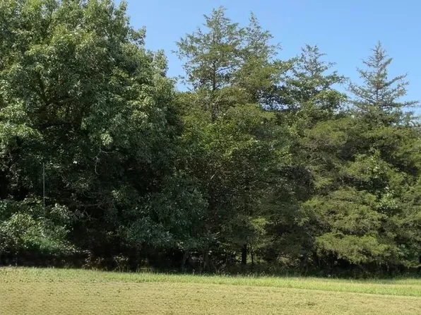 3394 Chadwick Road Road, Chadwick, MO 65629