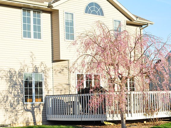 5th image of 1830 Greenfield Dr