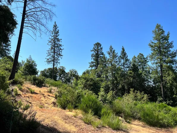 75 Bottle Hill Rd, Georgetown, CA 95634