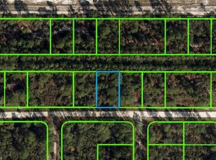 3103 Japonica Ave, Lake Placid, FL 33852