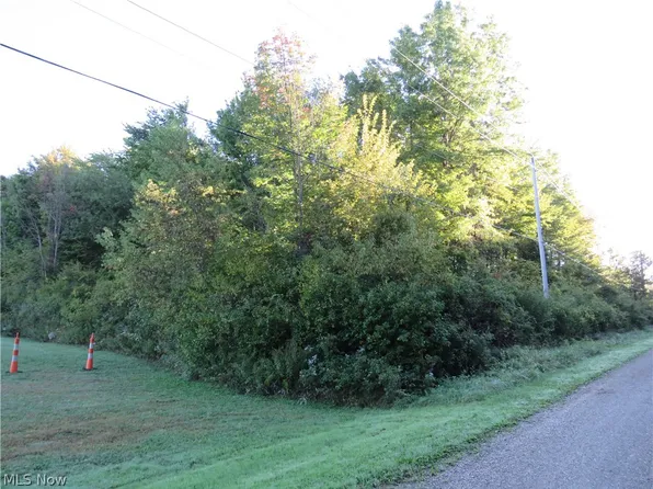 0 Village Green Dr, Conneaut, OH 44030