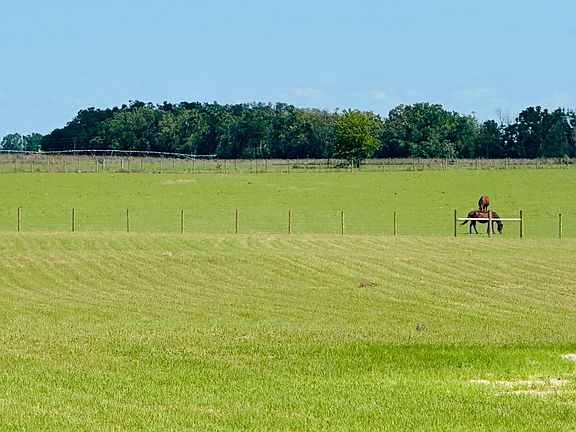 3rd image of 15818 State Road 51