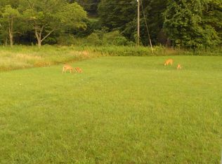 2187 Plum Run Rd, Ridgeley, WV 26753