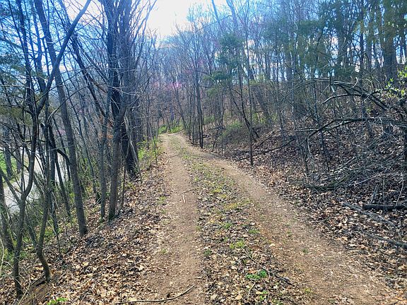 3rd image of 000 W Farm Road 36