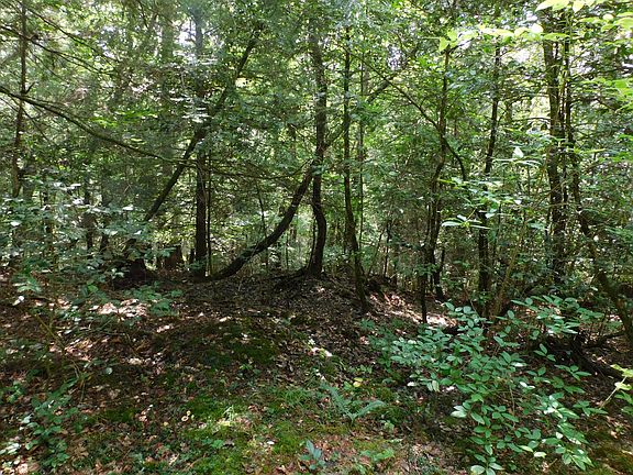 2nd image of 0 Old Highway 56