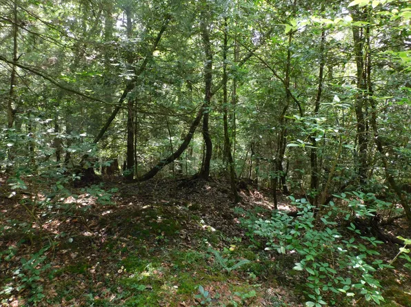 0 Old Highway 56, Coalmont, TN 37313