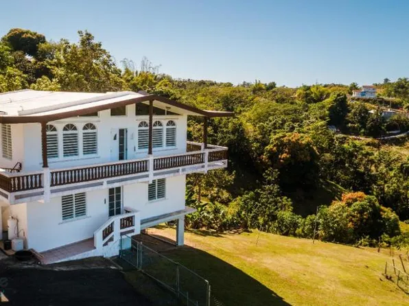 115 Sector Pedro Rd, Rincon, PR 00677